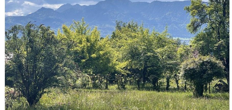 Visualisierung Innenraum Hagener Leite Moderne Küche mit Holzdecke und Blick auf schneebedeckte Landschaft und See.