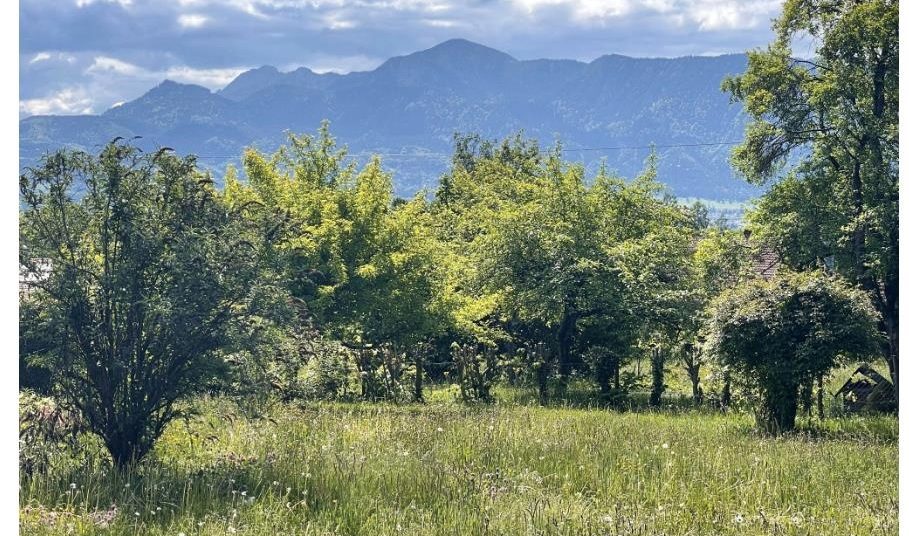 Visualisierung Innenraum Hagener Leite Moderne Küche mit Holzdecke und Blick auf schneebedeckte Landschaft und See.